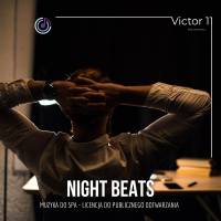 Night Beats – Paweł Lemiesiewicz mp3